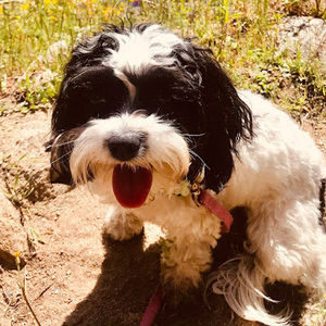 Meet your Posher, Chloe